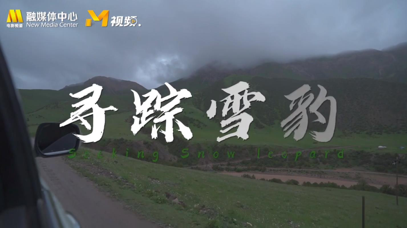 今年会首页相干消息(图7)