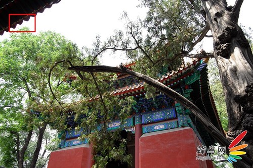 今年会首页一体机身纯铝打造 徕卡T无反相机评测首发(图50)